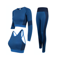 Picture of Navy & Royal Blue Workout Set