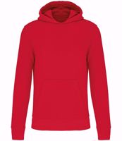 Picture of Kids Eco Friendly Hoodie